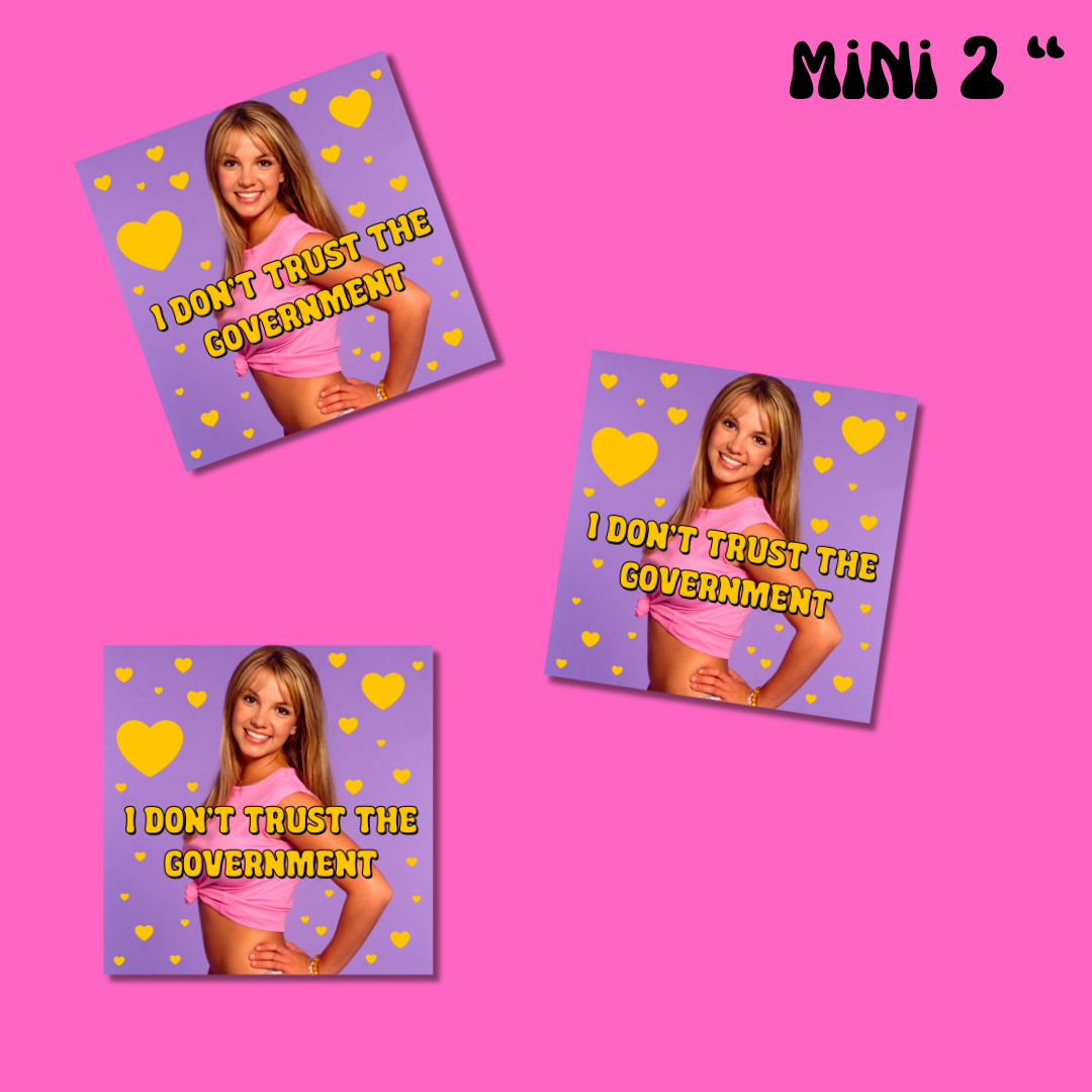 i don't trust the government sticker