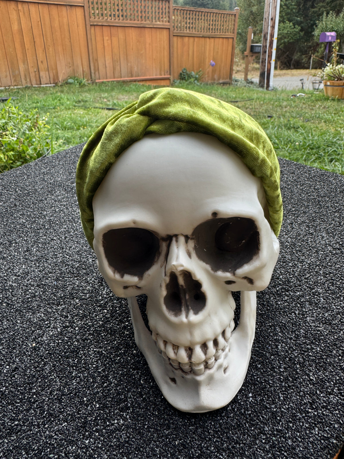 Green velvet stretch headband