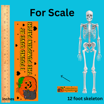 I found love at the pumpkin patch bumper