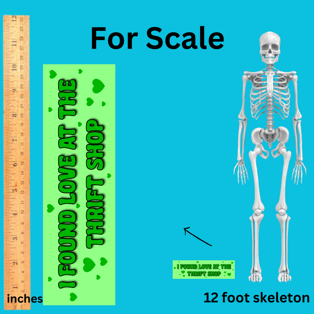 i found love at the thrift shop bumper