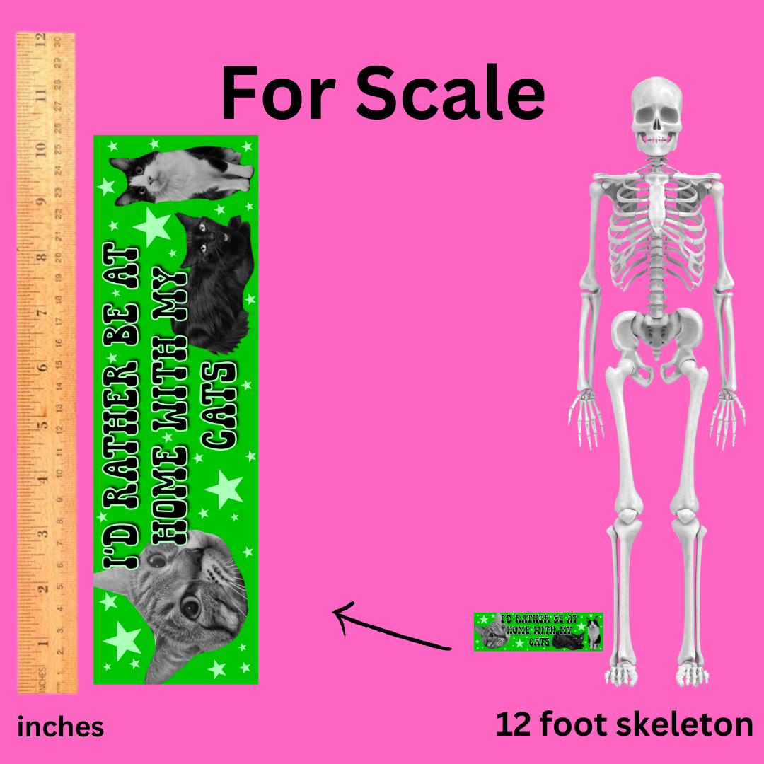 I'd rather be home with my cats bumper sticker