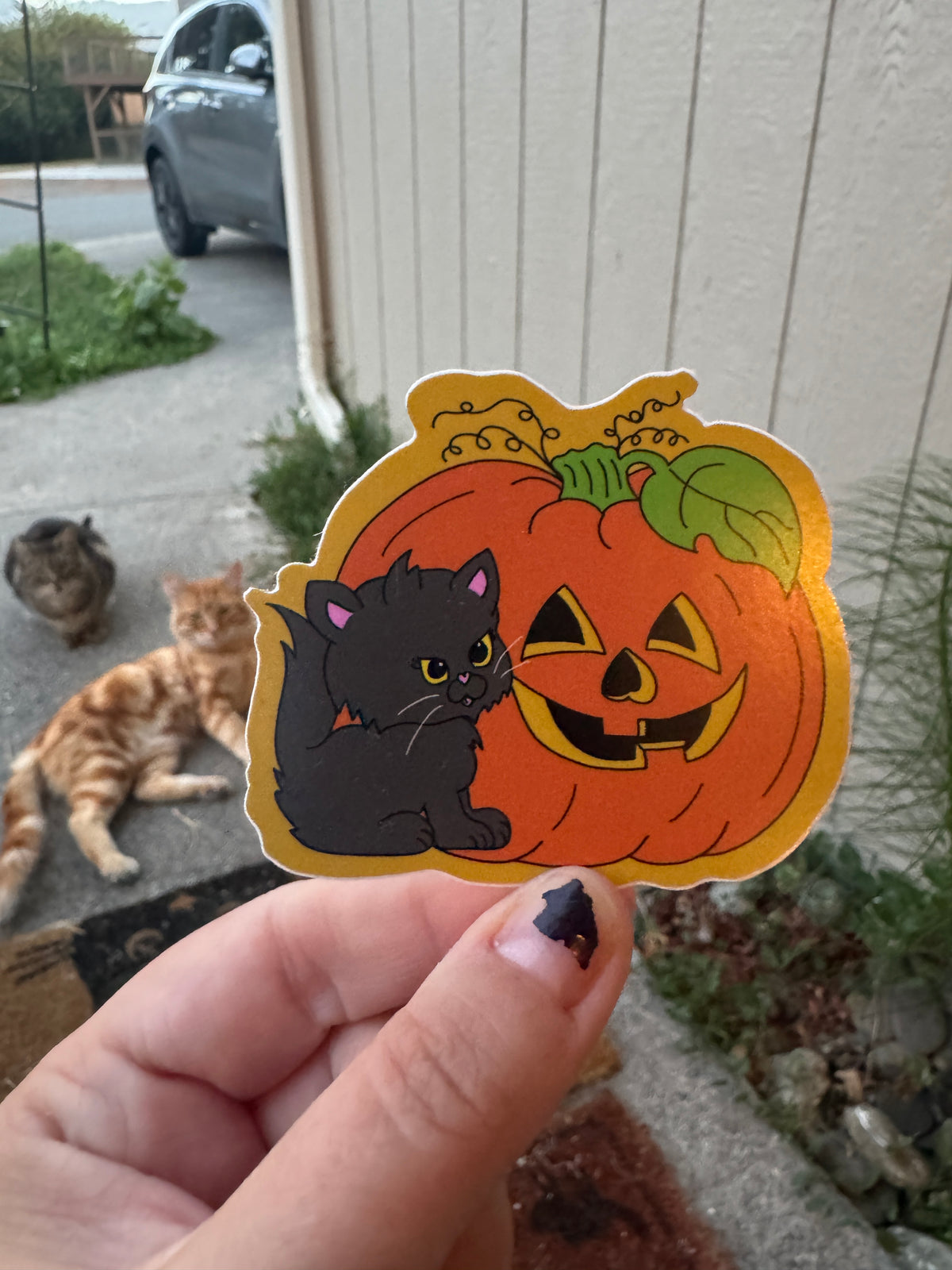 Pumpkin kitty sticker