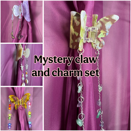 Mystery hair claw and charm set