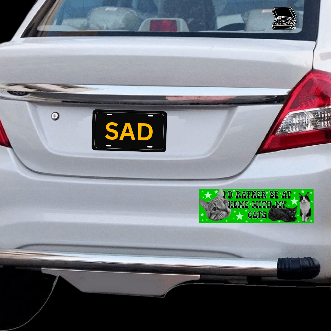 I'd rather be home with my cats bumper sticker